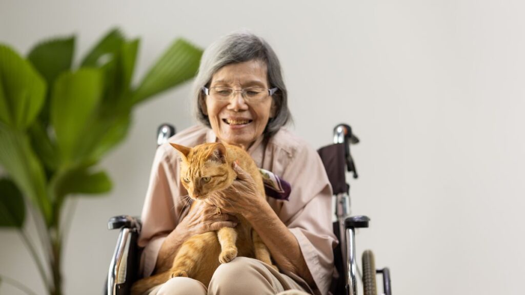 pet para idosos
