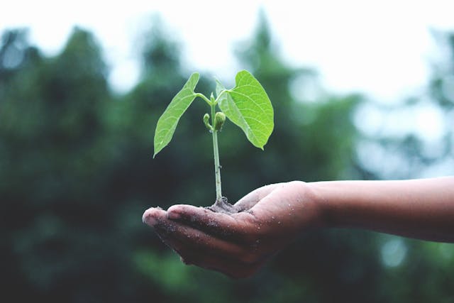 O Papel da Sustentabilidade na Construção Civil: Inovações que Estão Moldando o Futuro das Cidades